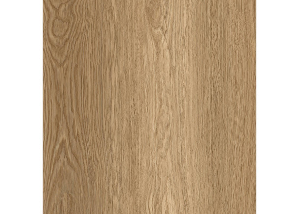 Spalva 609