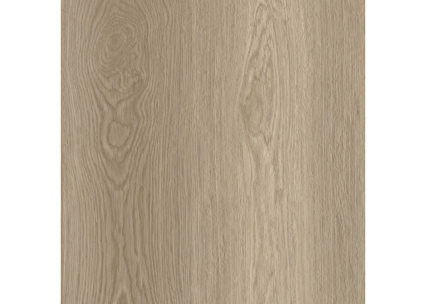 Spalva 655